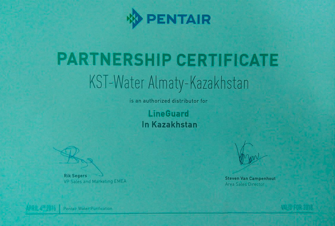 Certificate 8